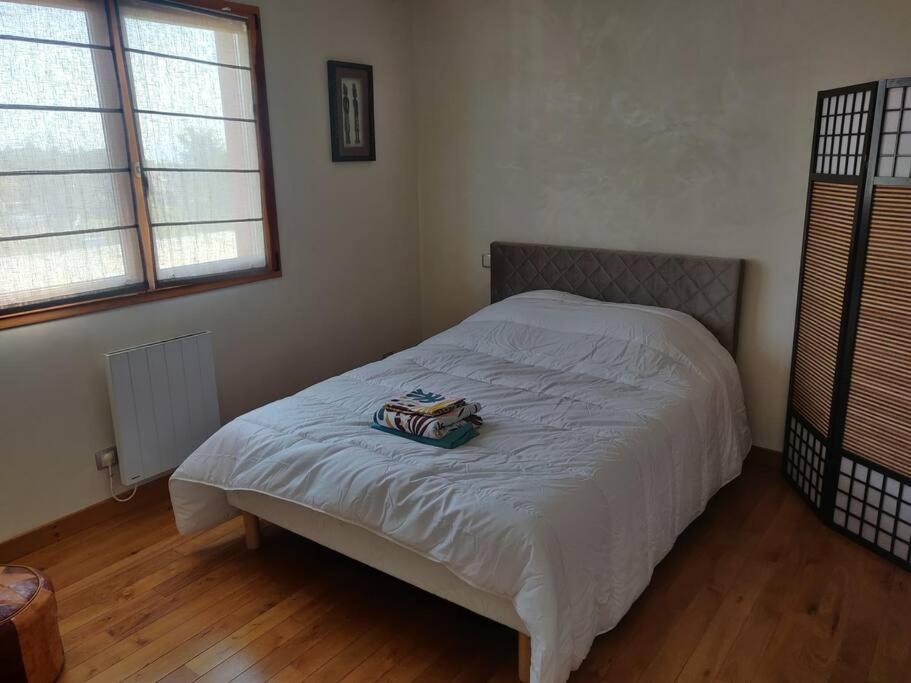 Maison Spacieuse Avec Billard Balneo Piano Talant Luaran gambar